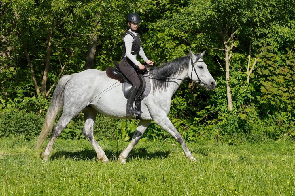 dsc01773 1 scaled.jpg