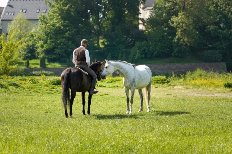 dsc02683 2 scaled.jpg