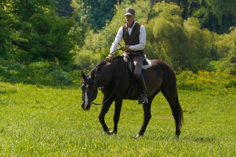 dsc02833 1 scaled.jpg