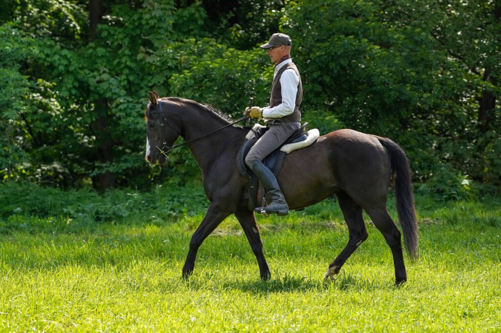 dsc02934 1 scaled.jpg