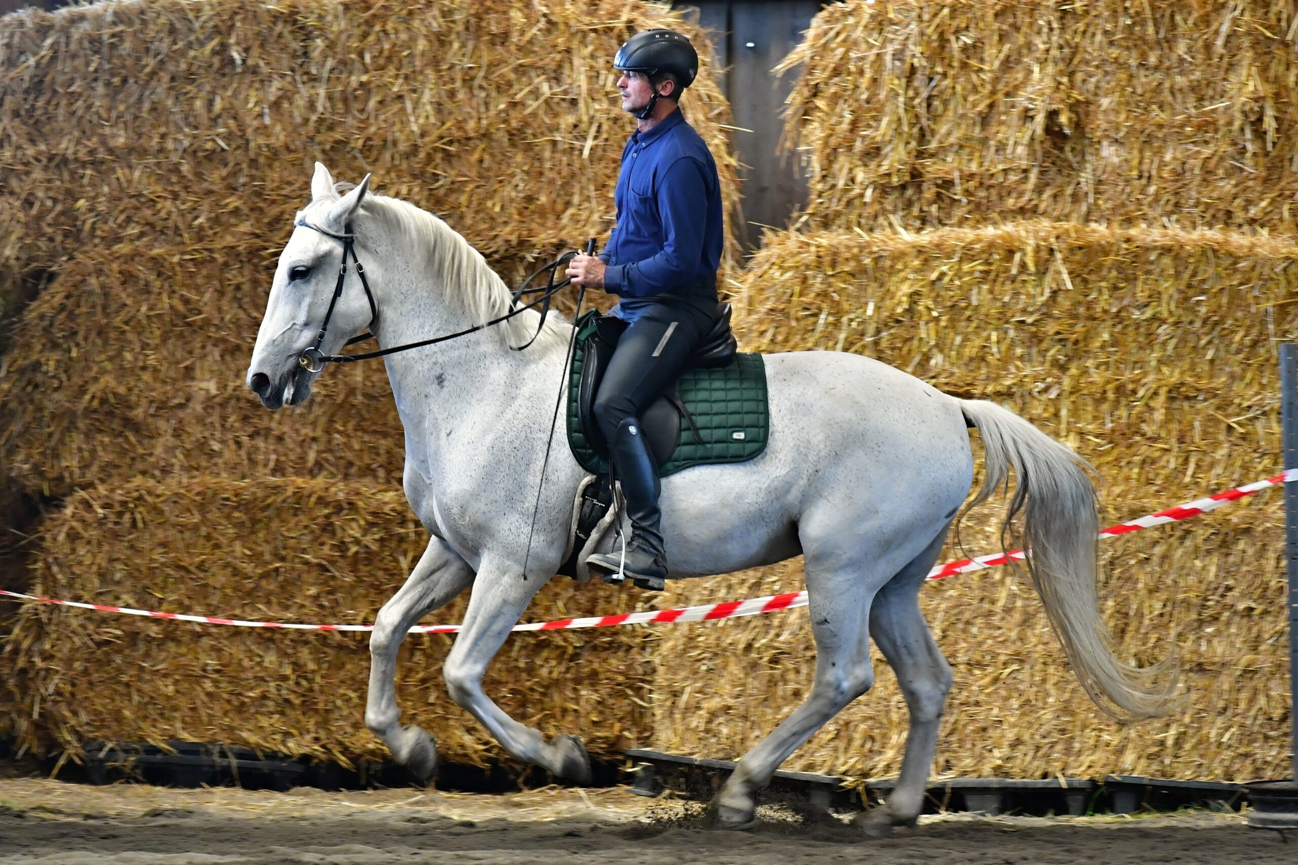 pavel nik 6166